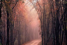 皇冠体育官网：埃弗拉：我要是拉比奥特，就会揍骂我的巴黎球迷.