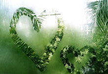 皇冠体育官网：中超：多名主力缺席 考验崔康熙排兵布阵.